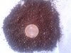 20150202_103918.jpg