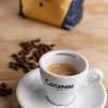 Cinquestelle_Cup.jpg Cinquestelle_Cup.jpg