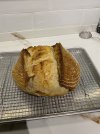 IMG_2963.jpeg