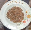beans.jpeg