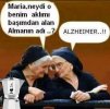 alzheimer.jpg