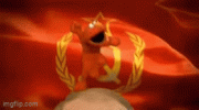 1000046239.gif