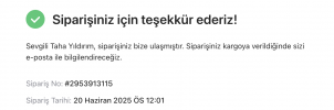 Screenshot 2025-06-20 at 12.05.09 PM.png