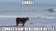 indir (3).png