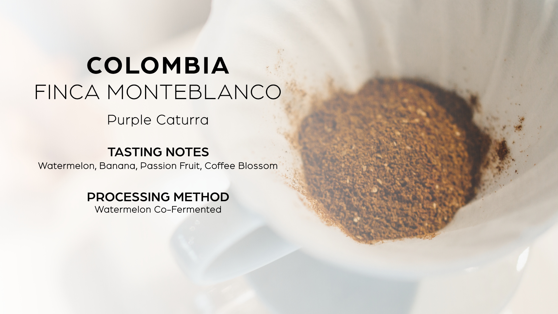 www.meron.coffee